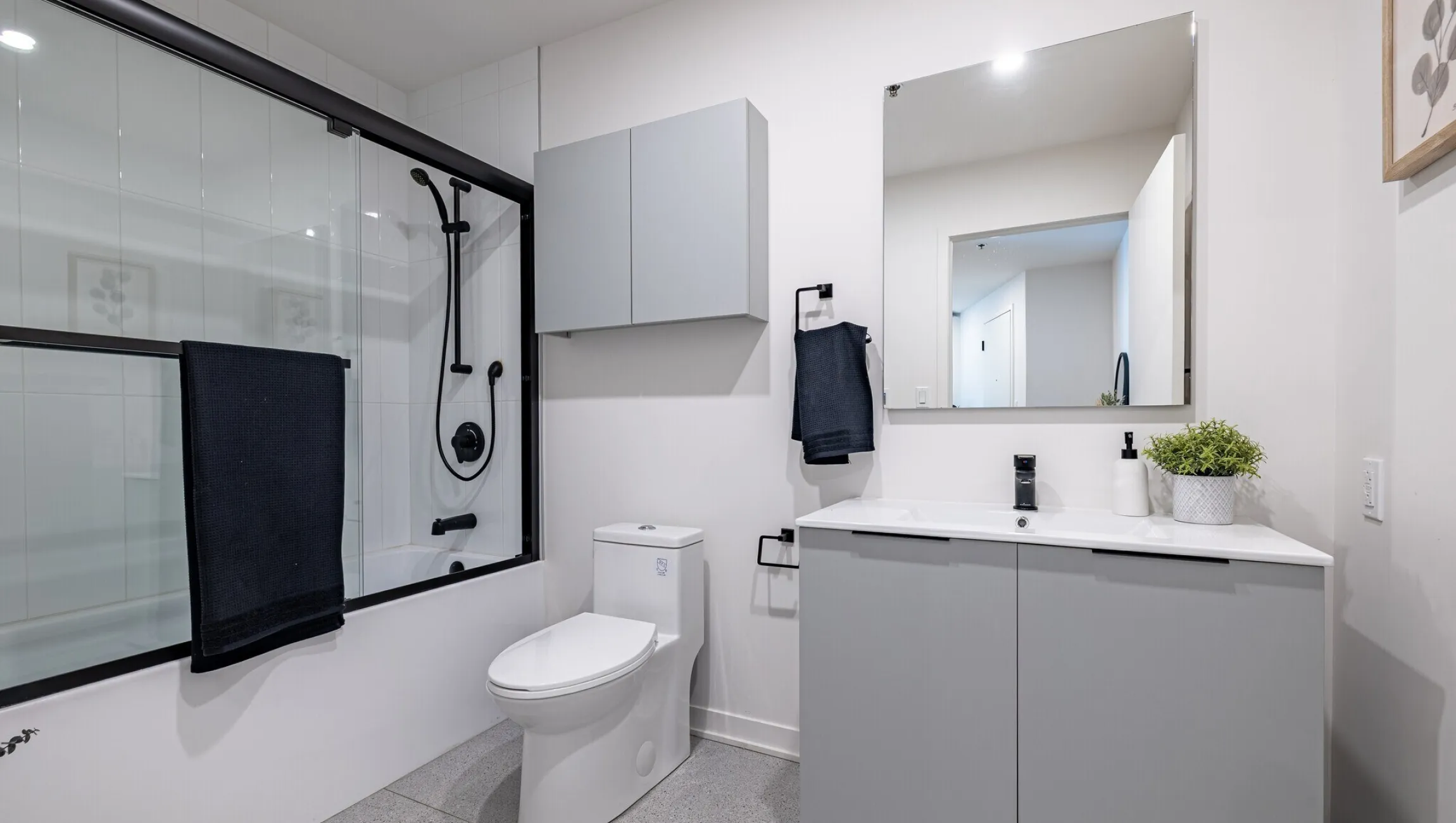 Le celtis bath 524